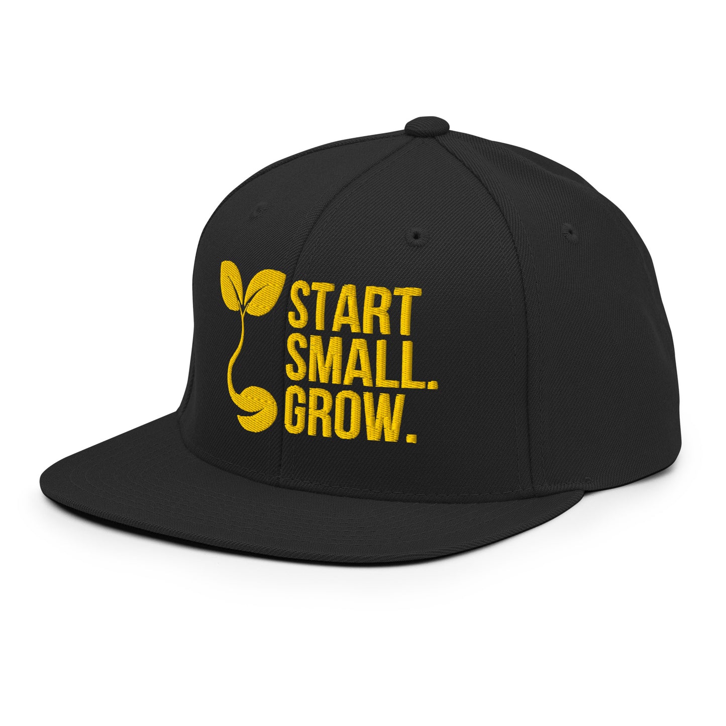 Start Small Snapback