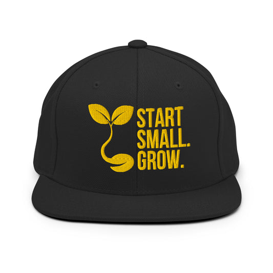 Start Small Snapback